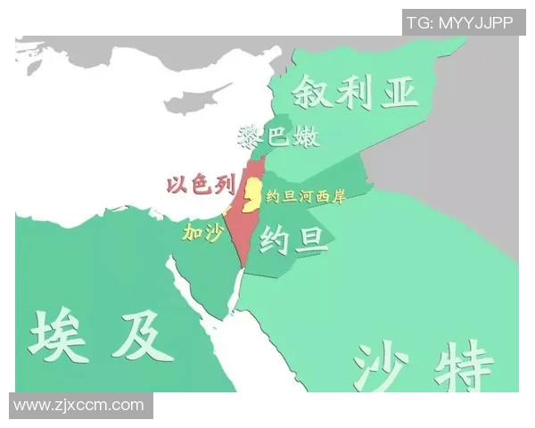 巴勒斯坦与叙利亚亚的历史渊源与未来展望分析